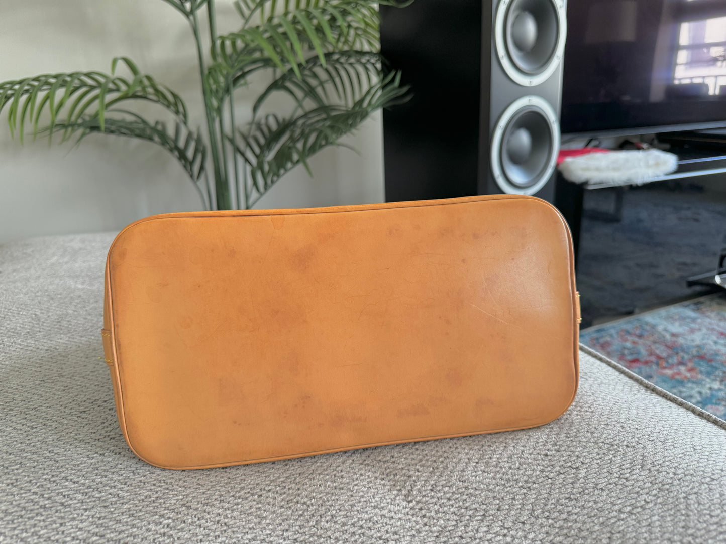Louis Vuitton Alma PM Bag