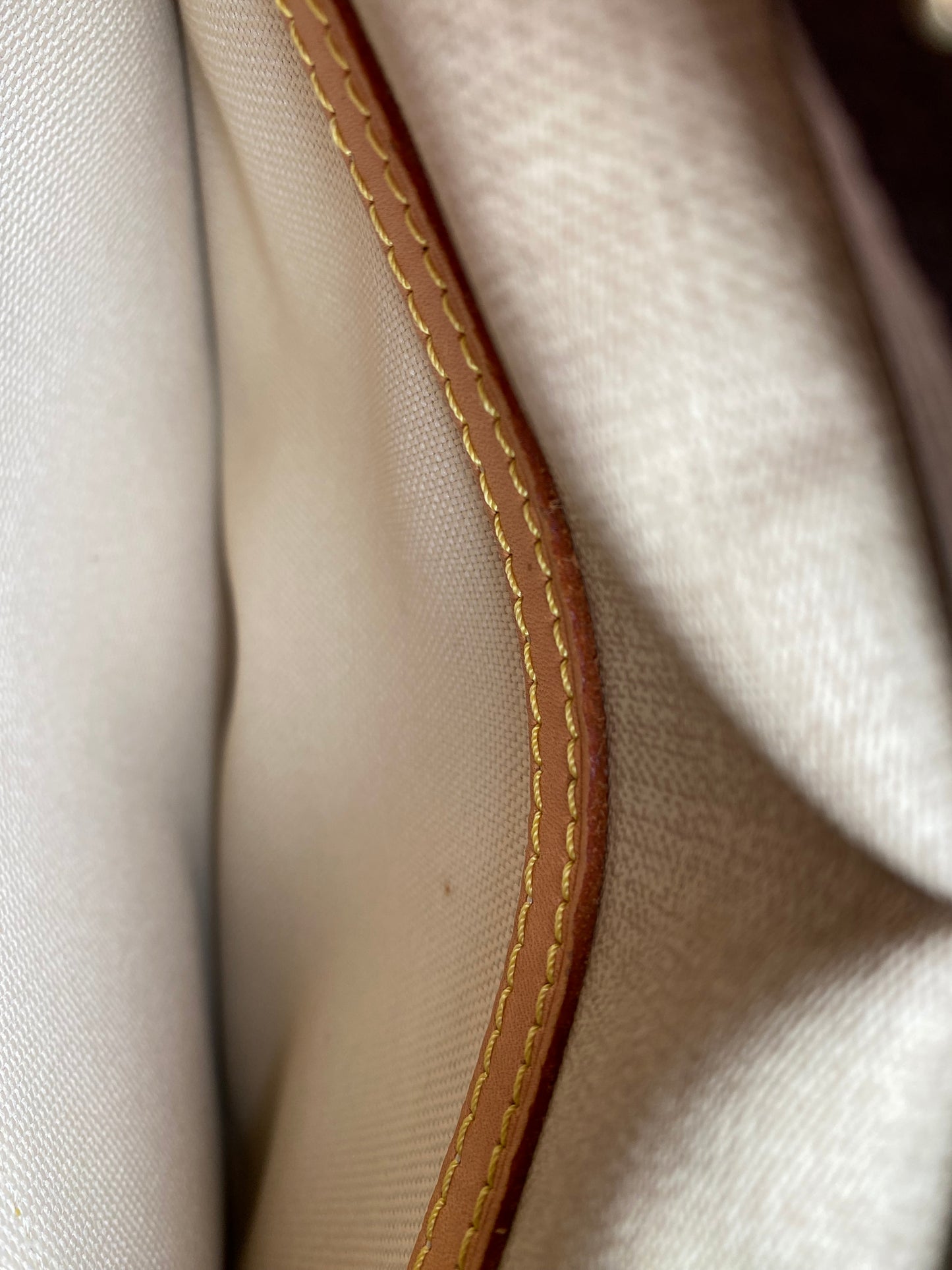 Louis Vuitton LV Crossbody bag Reporter PM Brown Monogram
