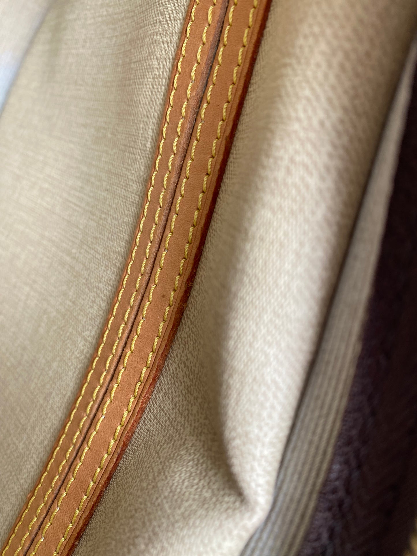 Louis Vuitton LV Crossbody bag Reporter PM Brown Monogram