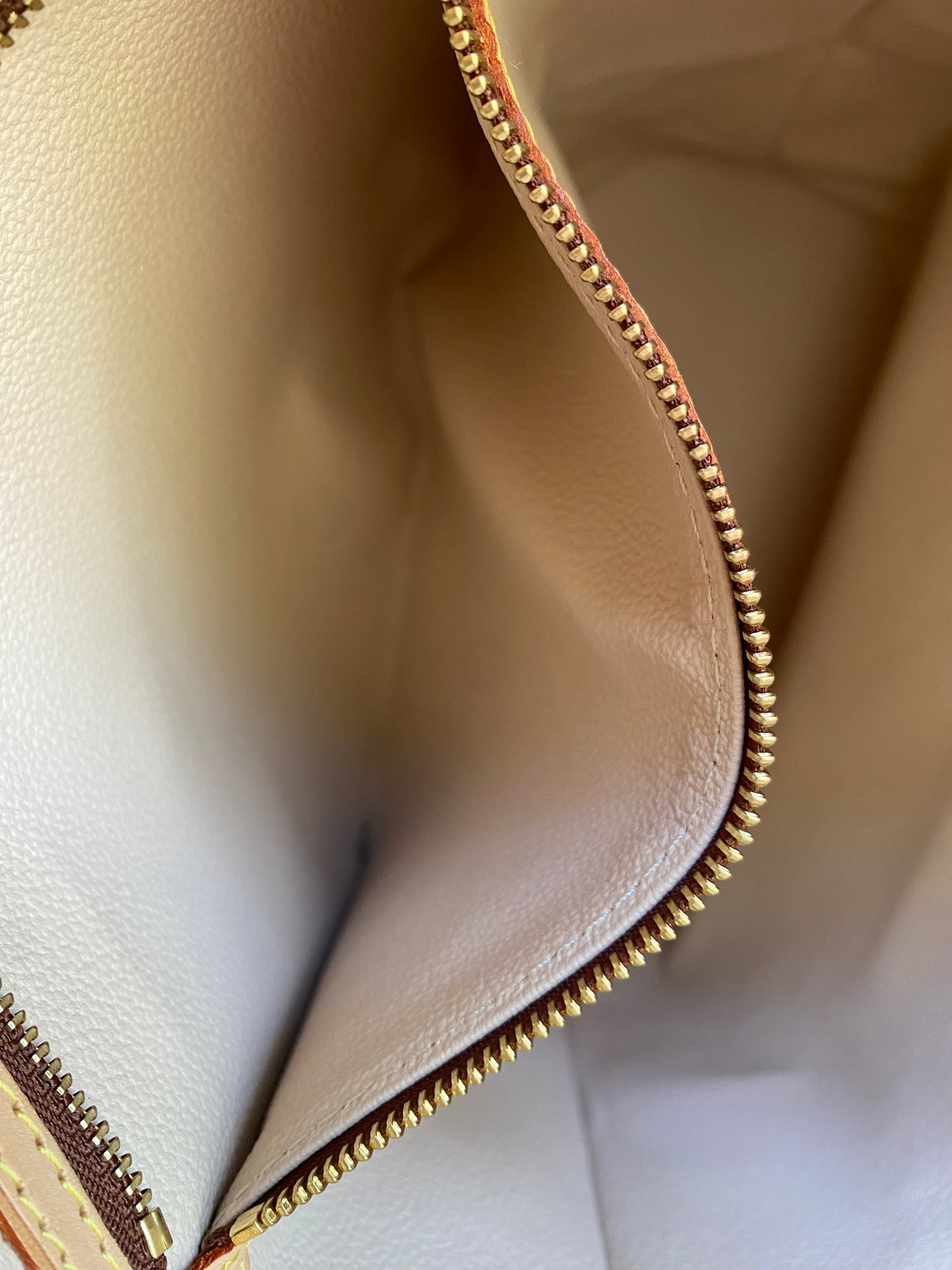 Louis Vuitton LV Tote Bucket bag GM Brown Monogram
