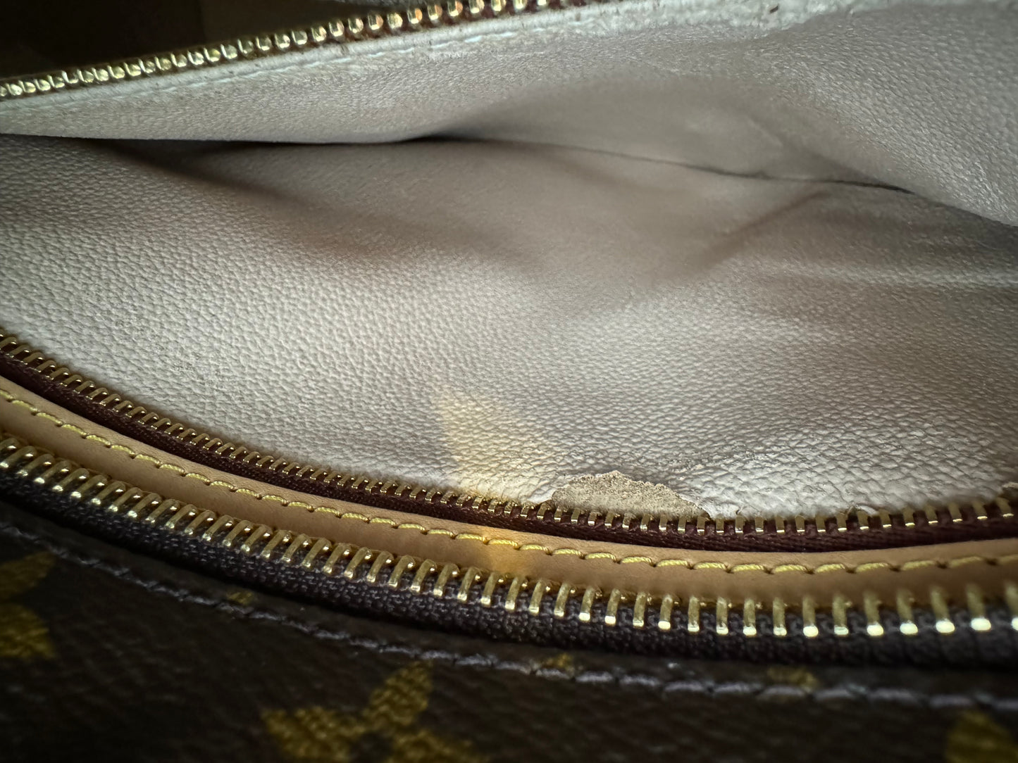 Louis Vuitton Luco Tote Brown Leather
