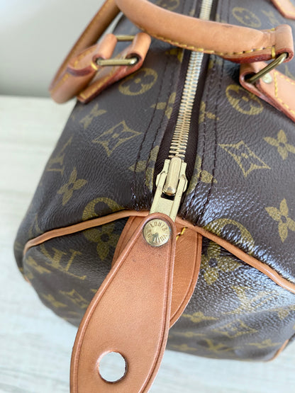 Louis Vuitton Speedy 30 handbag