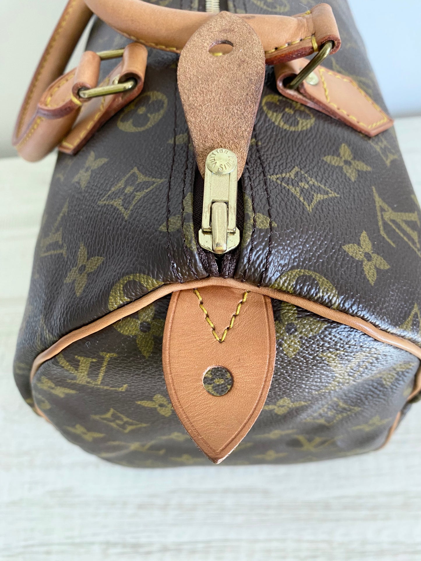 Louis Vuitton Speedy 30 handbag