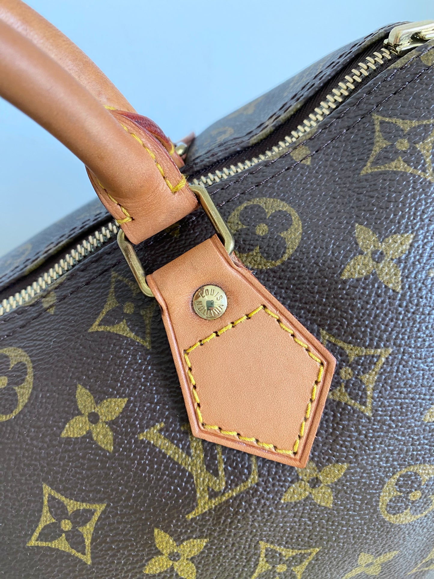 Louis Vuitton Speedy 30 handbag