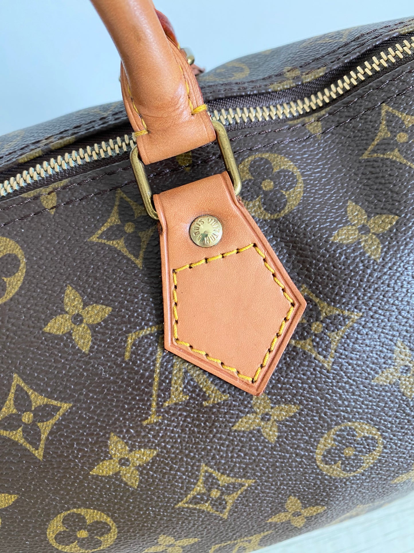 Louis Vuitton Speedy 30 handbag