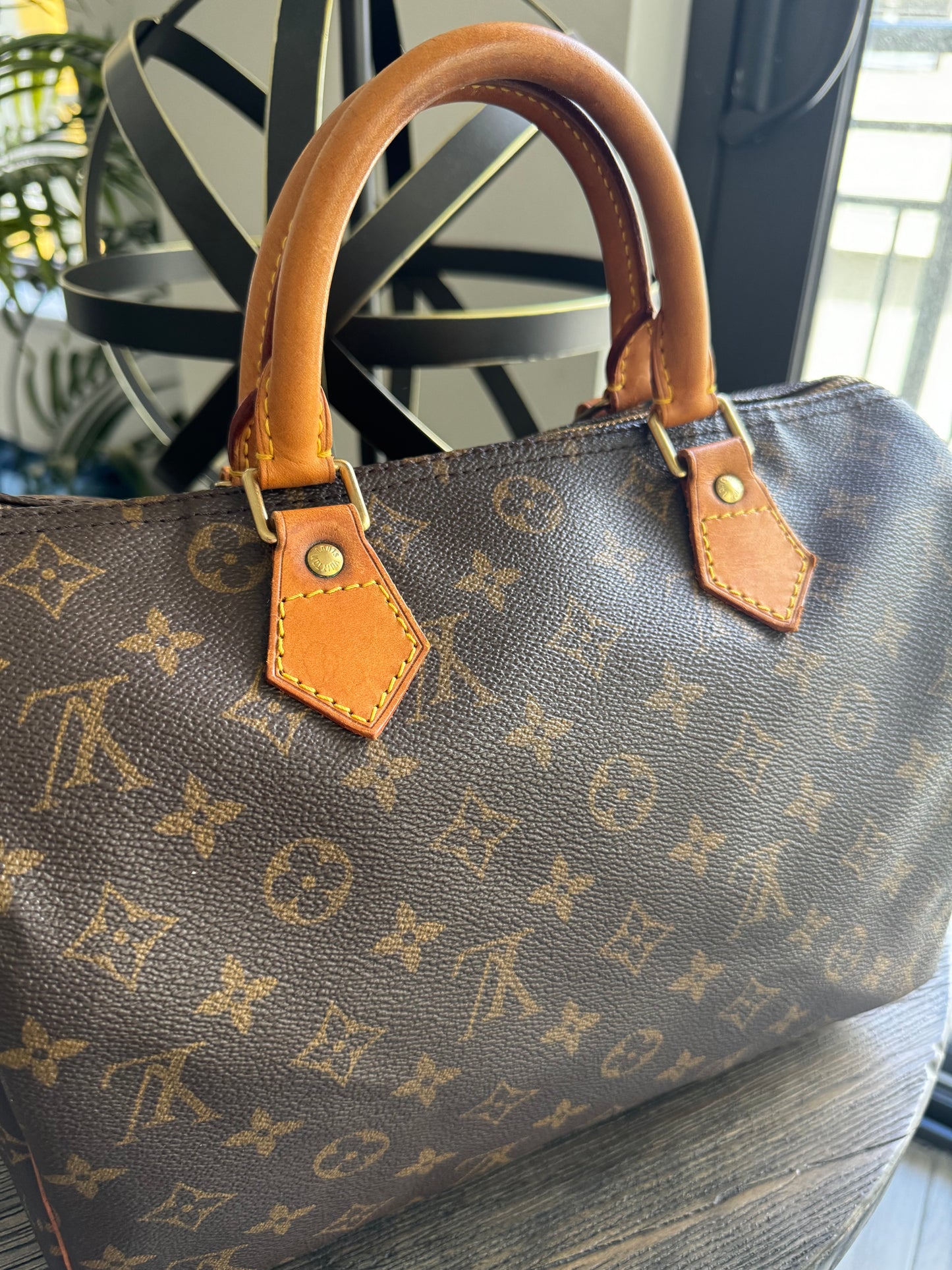 Louis Vuitton Speedy 30