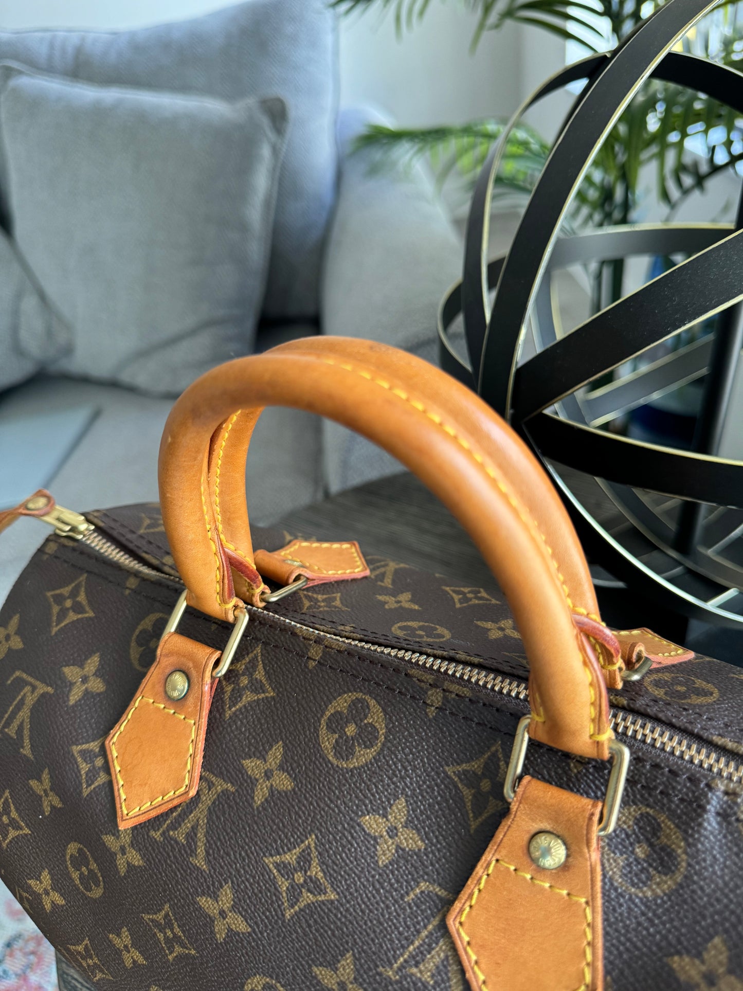 Louis Vuitton Speedy 30