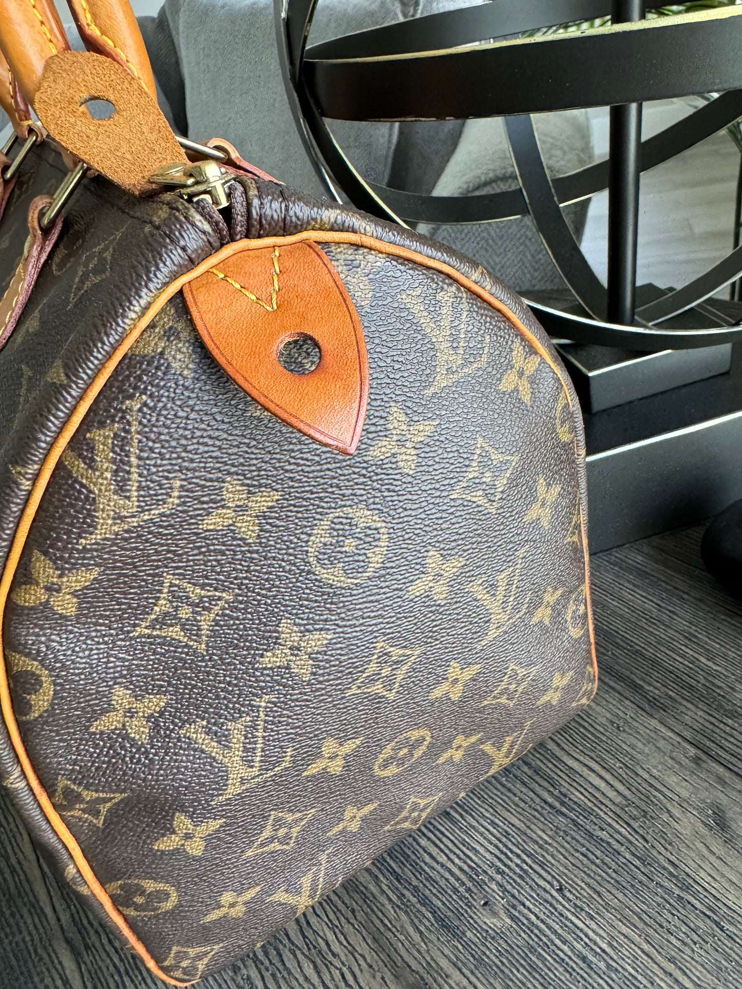 Louis Vuitton Speedy 30